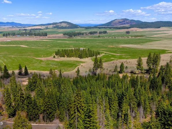 11 Lonely Moose Ln, Plummer, ID 83851