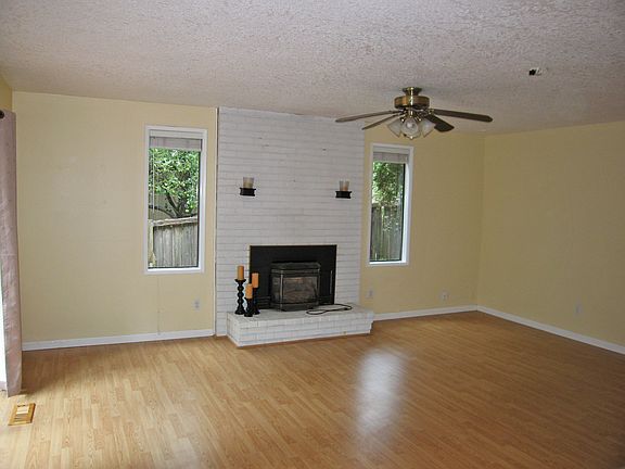 Gas Fireplace Insert