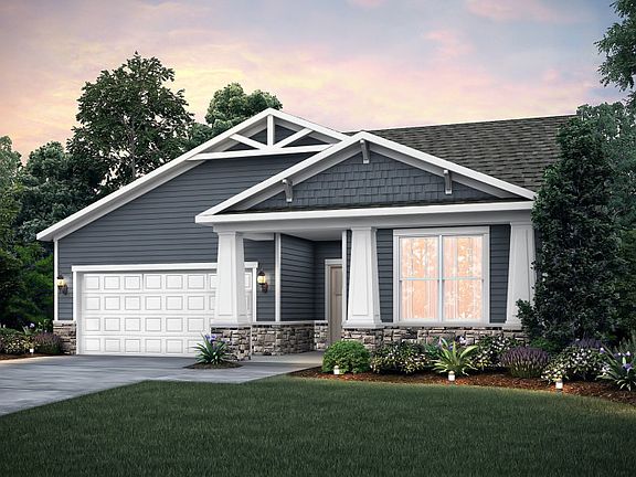 Model Representation