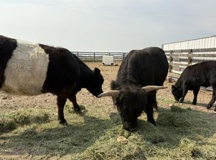 LOT County Road 43 #G, Pierce, CO 80650