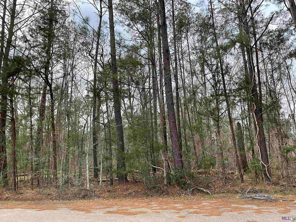 2nd image of LOT E Shadow Lake Dr #A