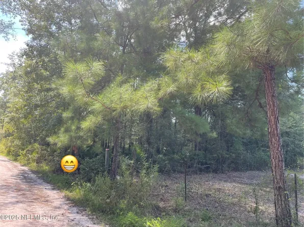 3871 HAMP HICKS Road, Bryceville, FL 32009