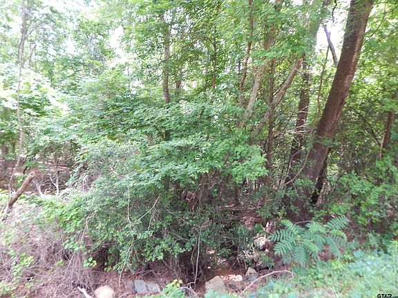 3rd image of Locust Rd
