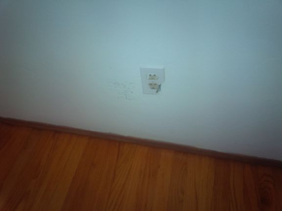 Wood Floors