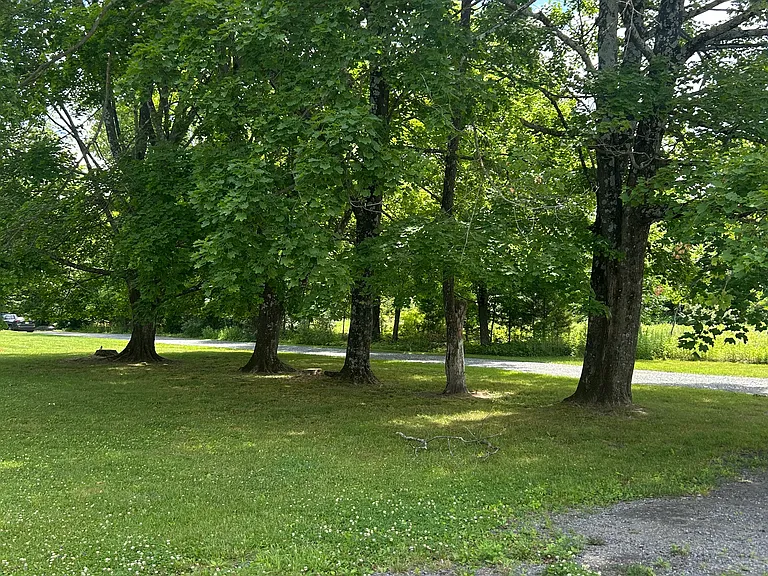 1597 S Delaware Dr #6 — Photo 22