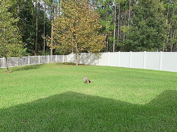 4th image of 451 Tortuga Bay Dr