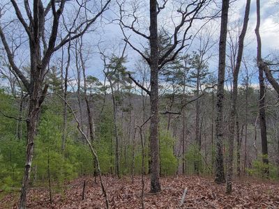 968 Raccoon Rdg NE, Ranger, GA, 30734