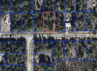 0 Unassigned Location Re Dr LOT 20, Interlachen, FL 32148