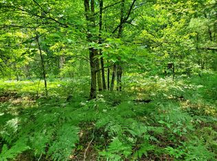 18 Mile, Bitely, MI 49309