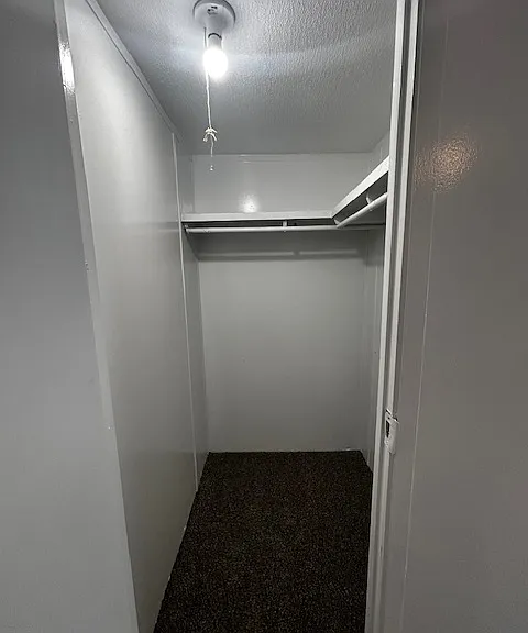 775 Steele Rd #3 — Photo 4