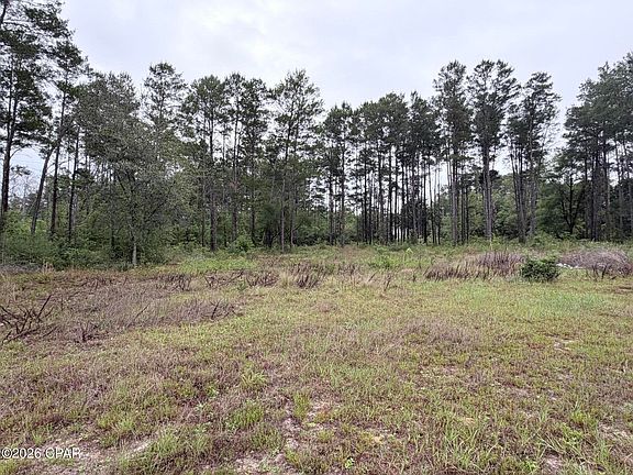 2nd image of 811 Tashanna Ln