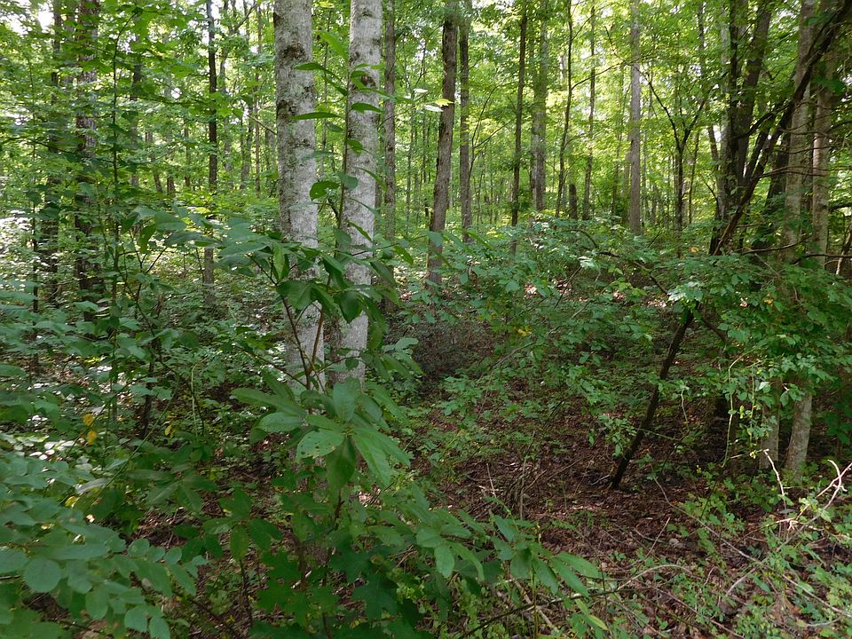 2nd image of Reeves Rd 7 Lot 1