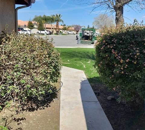 Walkway to front door. Home is on cul-de-sac