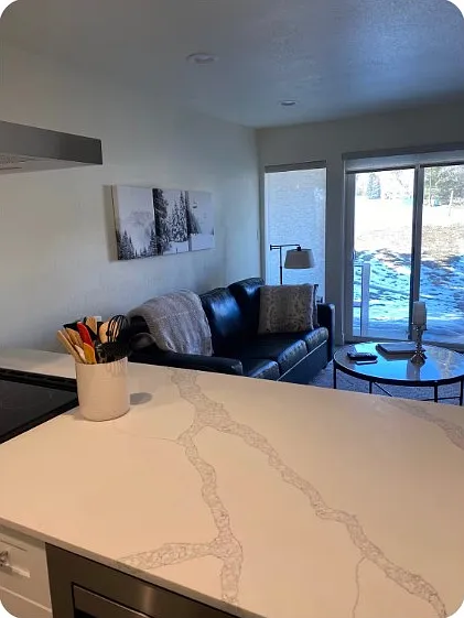 1 bed, 518 sqft, $2,500 — Photo 2
