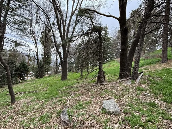 757 Scenic View Dr Lot 121, Crestline, CA 92325