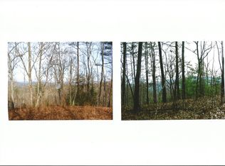 Lot #25 Overlook Rd., Blue Ridge, GA 30513