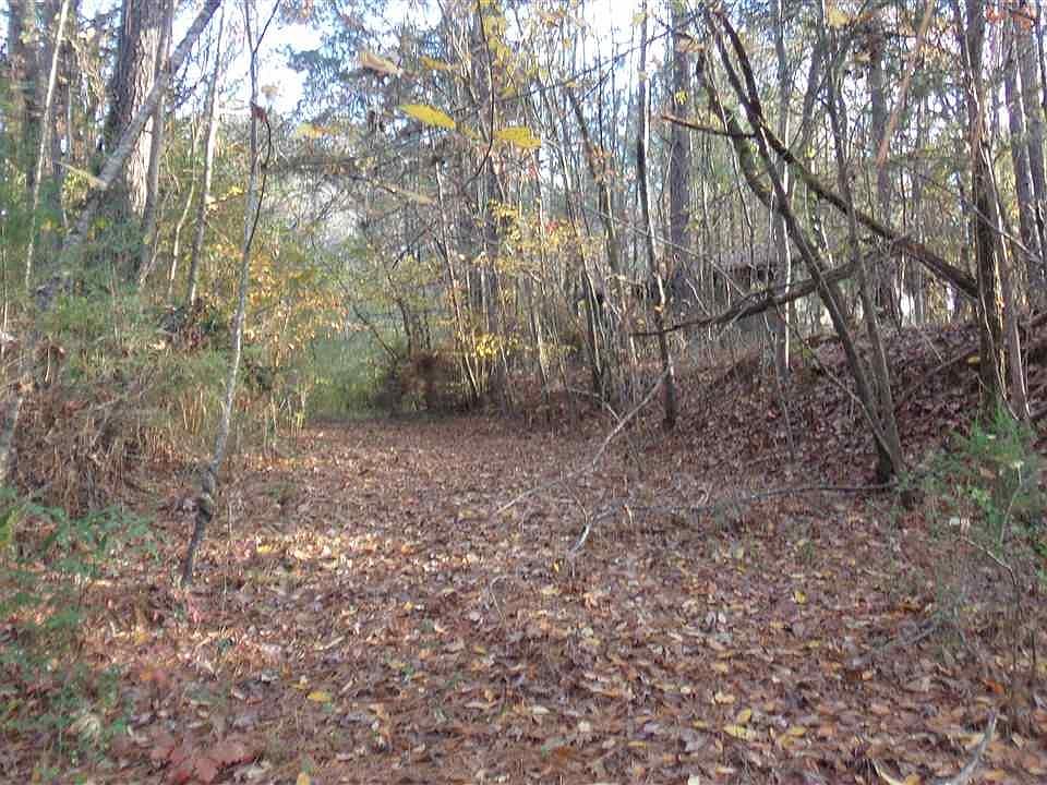 2nd image of 20065 Pleasant Grove Rd #0