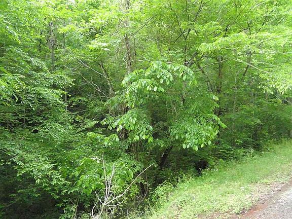 5th image of 484 Of County Rd
