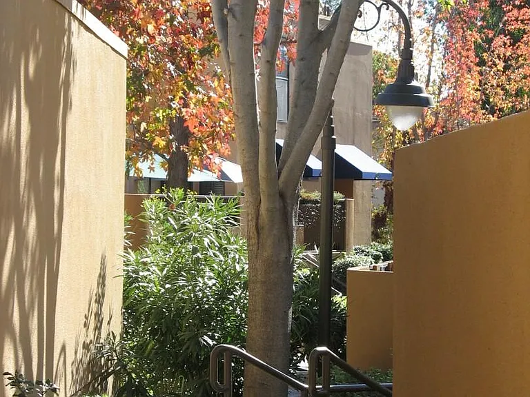 Le Parc — Photo 17