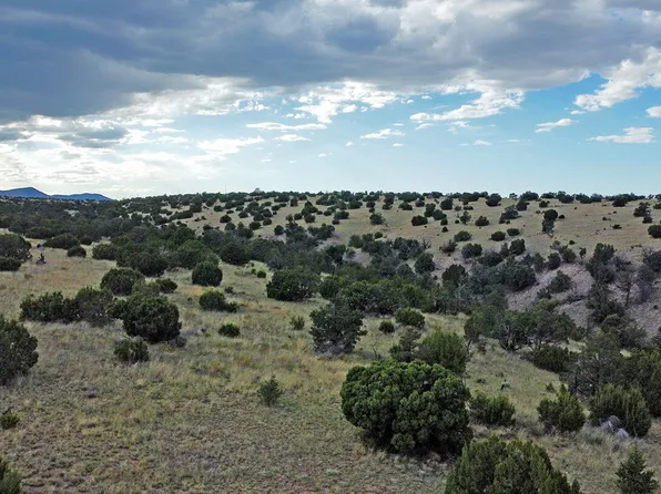 196 Campfire Rd, Magdalena, NM 87825