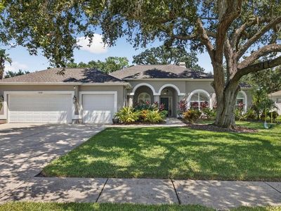 17014 Winners Cir, Odessa, FL, 33556