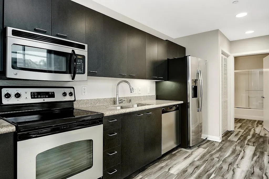 1 bed, 608 sqft, $2,500 — Photo 4