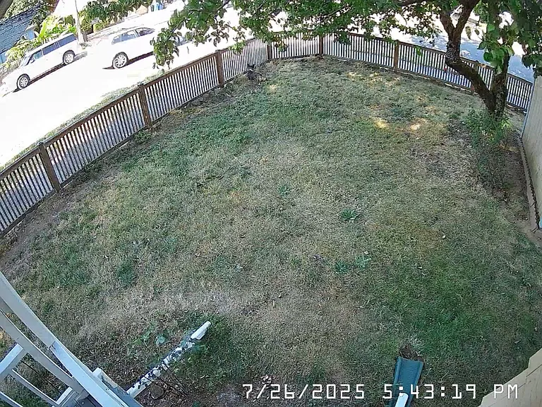 Monitor the yard and your pups from your phone or dedicated smart home consoles