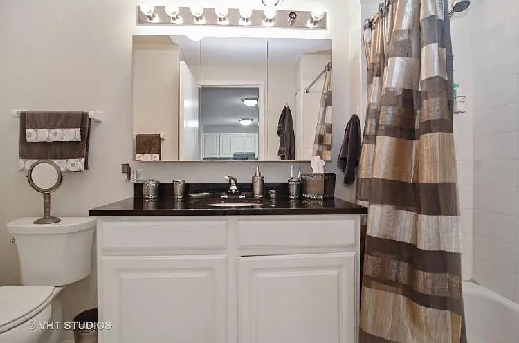 545 N Dearborn St #1903 — Photo 16