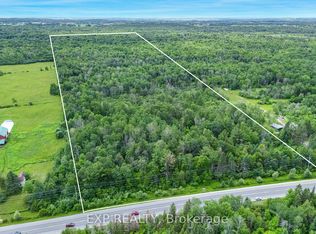 22262 Highway 48, East Gwillimbury, ON L0G1M0