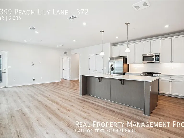 4399 Peach Lily Ln #372 — Photo 9