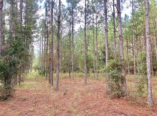 3760 NW 77th Pl, Bell, FL 32619