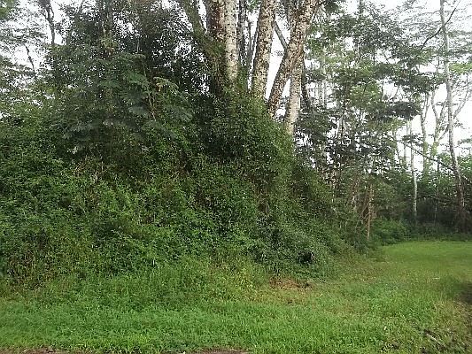 4th image of Niihau Lot 266