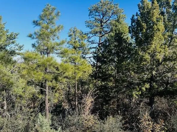 1610 W Snow Creek Trl, Show Low, AZ 85901