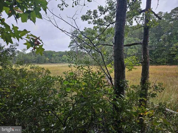 8 Section C Spring Lake Dr, Lexington Park, MD 20653