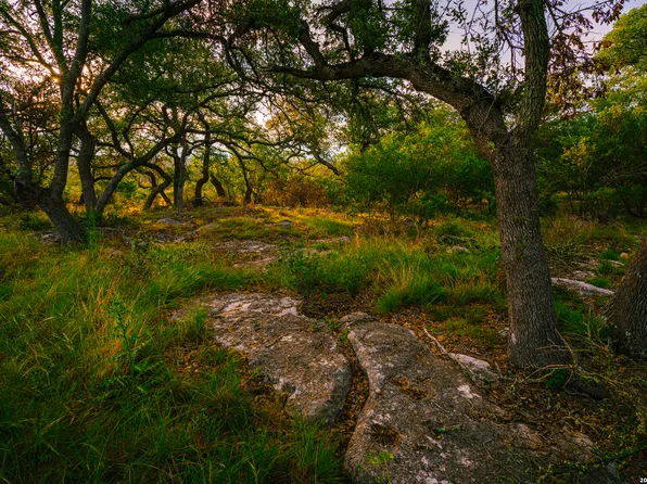 000 Rambling Oaks Ranch LOT 5, Spring Branch, TX 78070