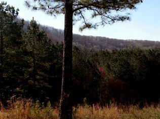 2 Reece Mountain Rd, Ellijay, GA 30536