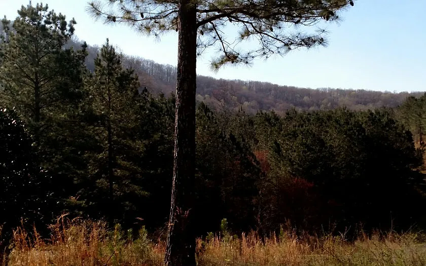 2 Reece Mountain Rd photo 1