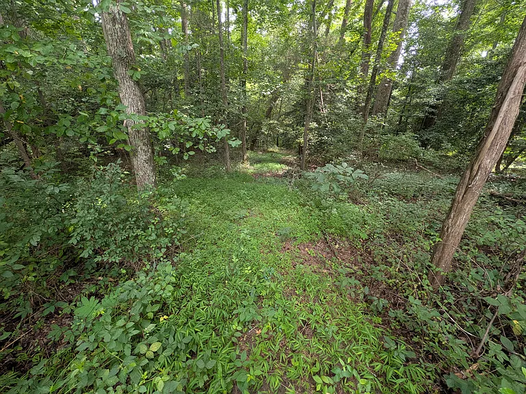 7427 Hickory Rd — Photo 30