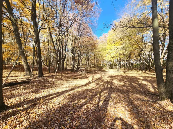 Sheffield Ct, Battle Creek, MI 49017
