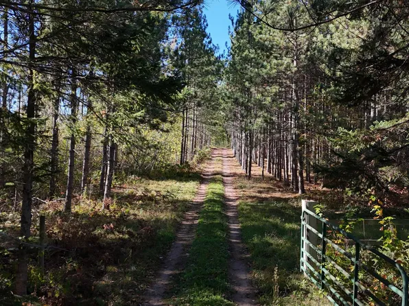 Mann Rd, Spooner, WI 54801