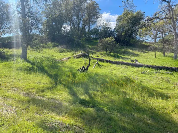 Deep Forest Dr, Coarsegold, CA 93614