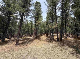 Lot 22 Valley Rd, Angel Fire, NM 87710