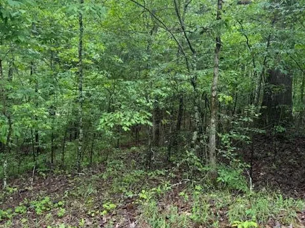 71 Holiday Hls #B, Como, MS 38619