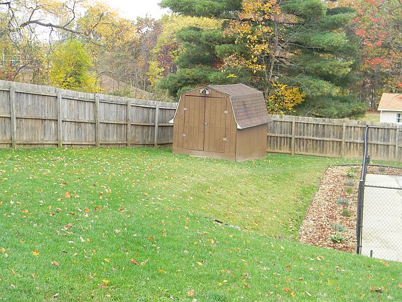 Back Yard / Shed