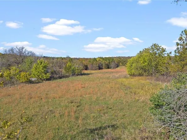 TRACT SW 75th Rd #A, Holden, MO 64040