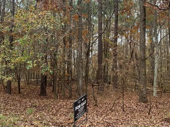 LOT 55 Apalachee Woods Dr, Buckhead, GA 30625