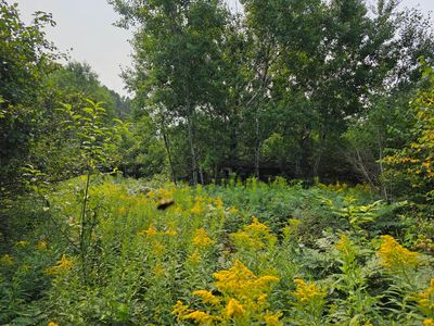 Off Hwy #M28-1420, Bruce Crossing, MI, 49912