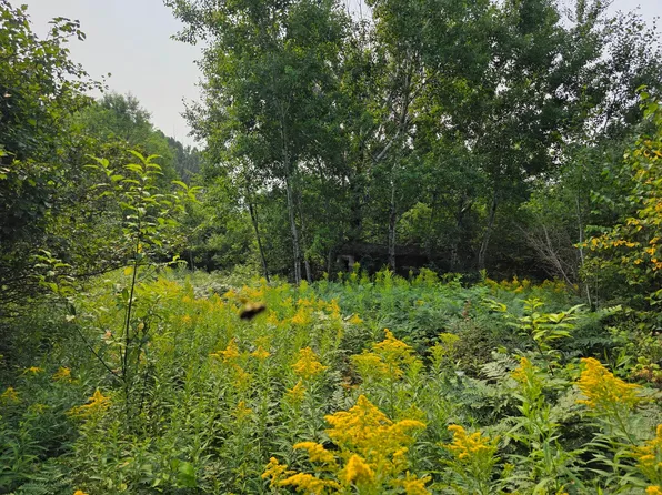 Off Hwy #M28-1420, Bruce Crossing, MI 49912