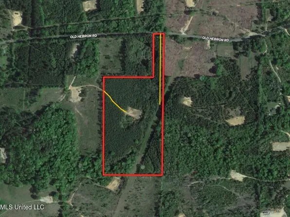 Old Hebron Rd, Prentiss, MS 39474