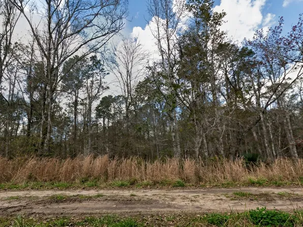 10335 Hennessey Avenue, Hastings, FL 32145